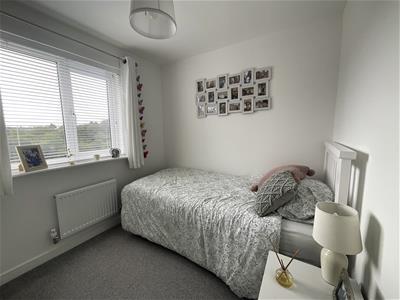 Picture 27